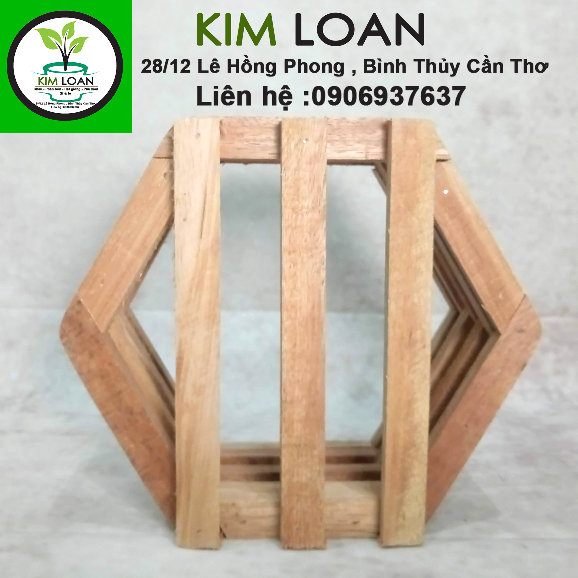 Chậu lan gỗ lục giác 21x10cm