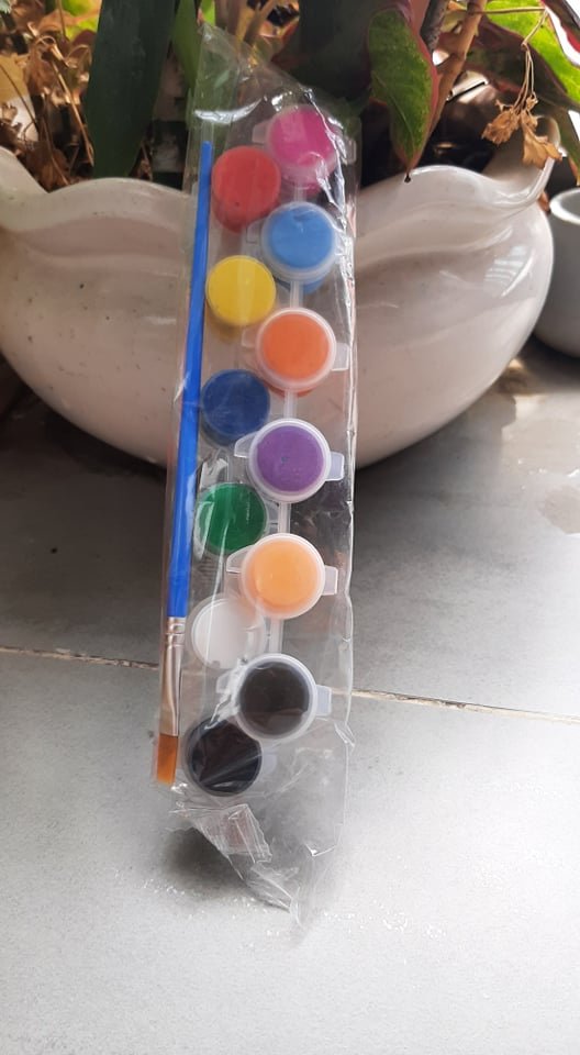 [Combo 50]Vỉ 12 Màu + 2 cọ vẽ