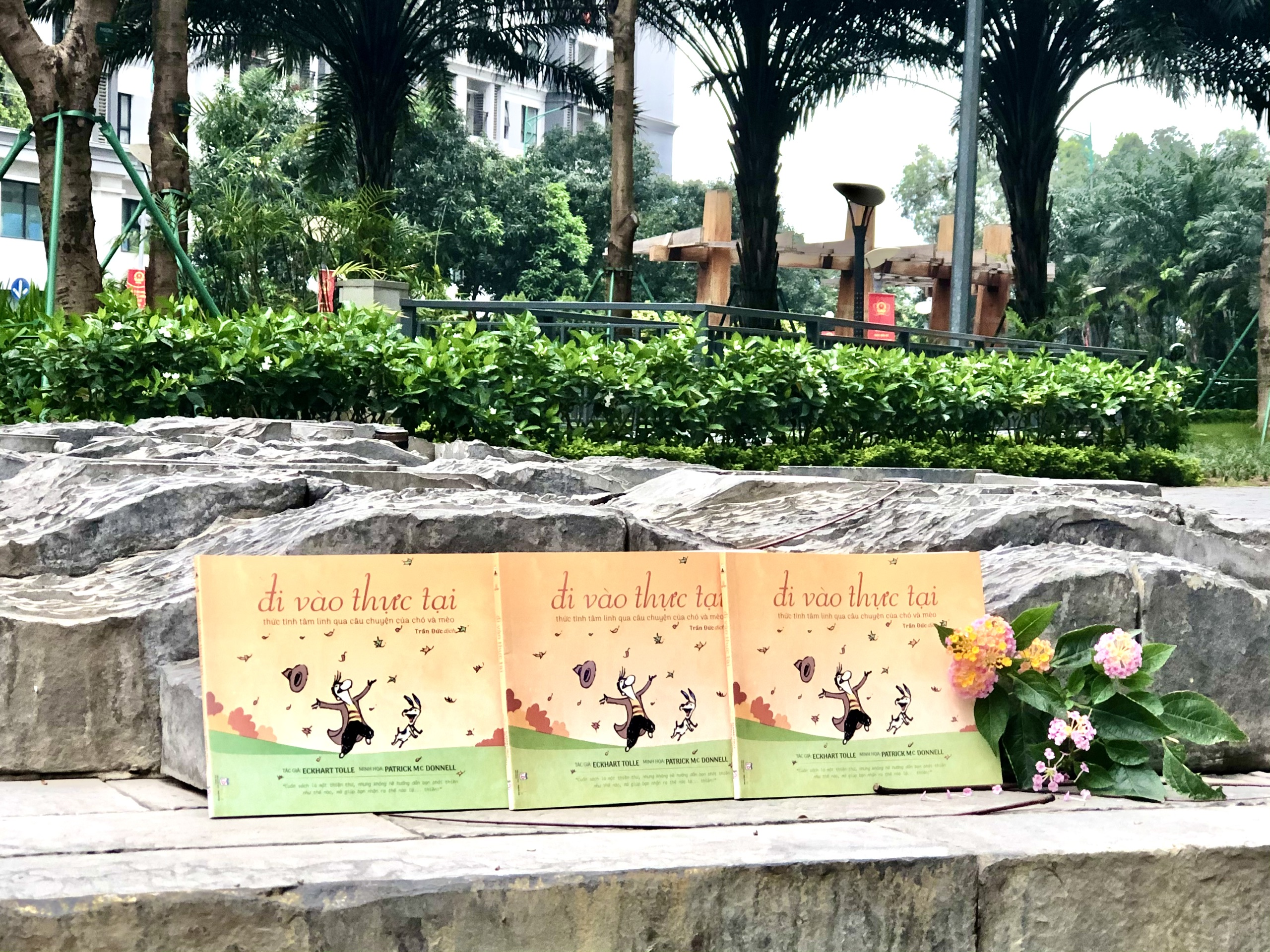 Sách Đi Vào Thực Tại