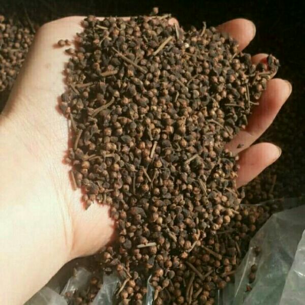 1kg trà nụ vối