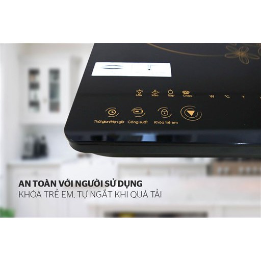 Bếp Điện Từ Cảm Ứng Sunhouse Shd6801