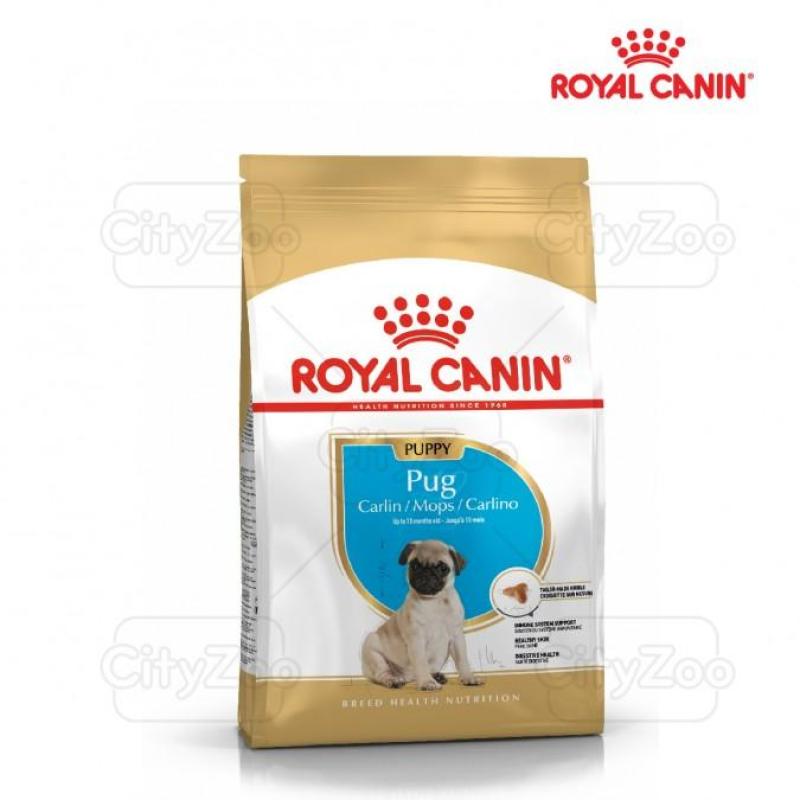 ROYAL CANIN PUG JUNIOR/PUPPY - THỨC ĂN CHÓ PUG CON TỪ 2 - 10 THÁNG TUỔI