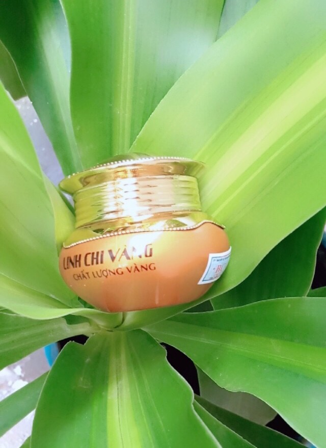 [HCM]KEM SIÊU TRẮNG LINH CHI VÀNG 25G