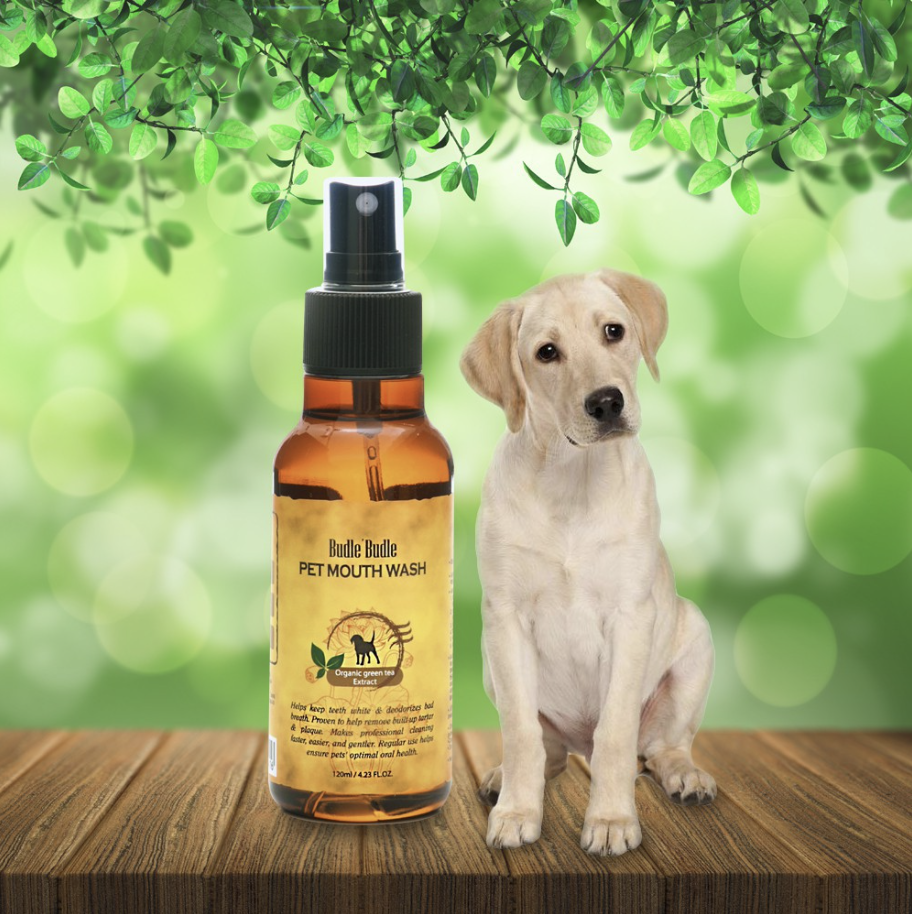 Xịt vệ sinh răng miệng Budle Budle cho chó 120ml
