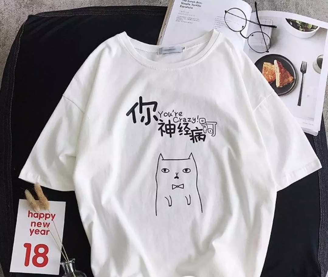 Áo thun nữ form rộng Hàn Quốc in hình Mèo Meo Meo dễ thương vải dày mịn mát hình in không phai không dính giặt