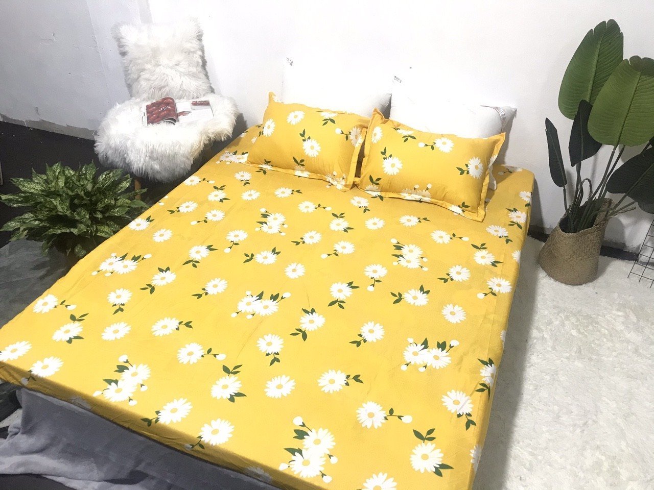Bộ ga gối cotton poly 3 món họa tiết cúc hoạ mi vàng Bà Béo  Kho chăn ga gối, ga giường, drap giường