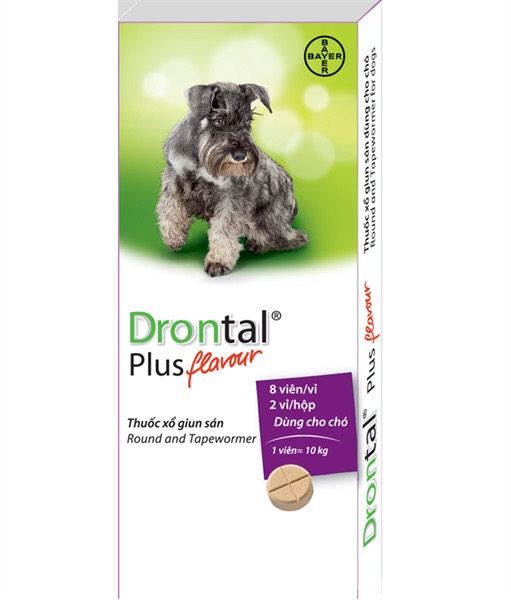 Tẩy giun cho chó con dạng nước Drontal