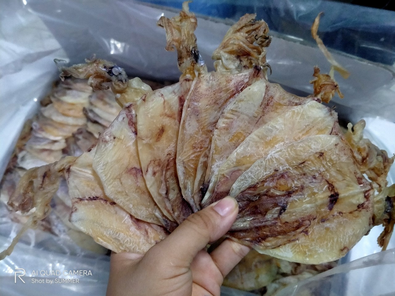 [HCM]KHÔ MỰC VŨNG TÀU 05KG( 60-70c)
