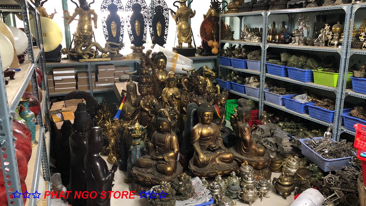 CẶP SƯ TỬ ĐỒNG NGUYÊN CHẤT