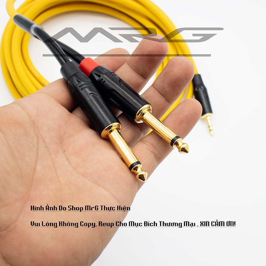 (5 Mét) Dây Jack 3.5Ly Ra 2 Đầu 6Ly (6.5ly)