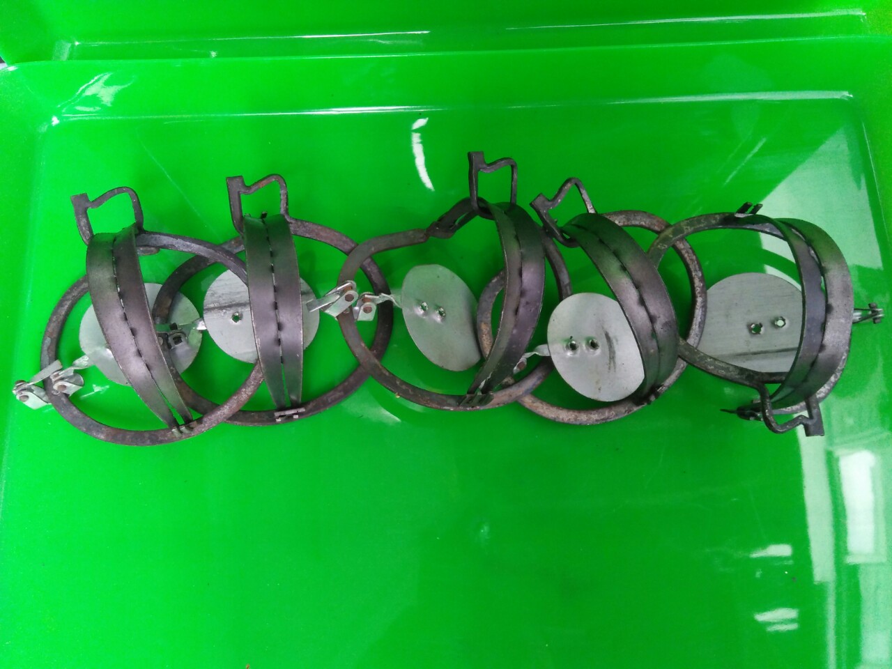 Combo 5  bẫy chuột cạm kiềng cỡ nhỏ miệng 9 cm