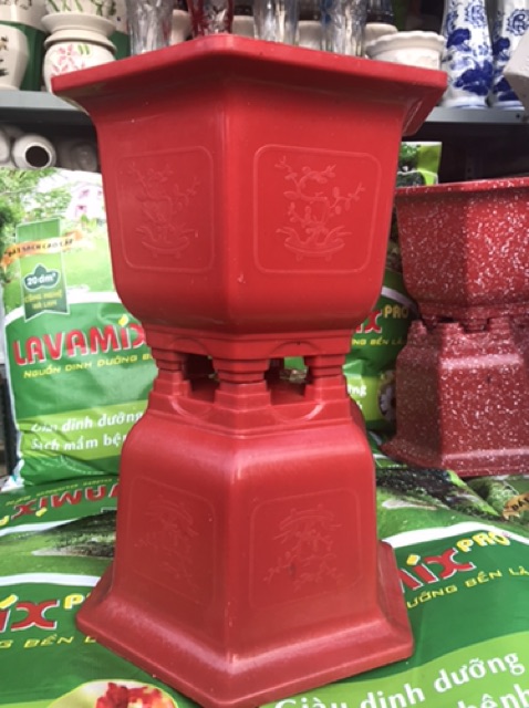 Chậu Nhựa Lục Giác