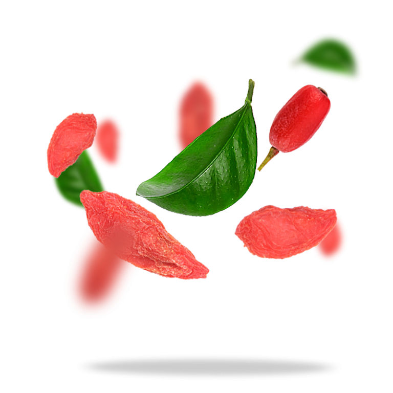 Sottolestelle Organic Goji Berries 200g
