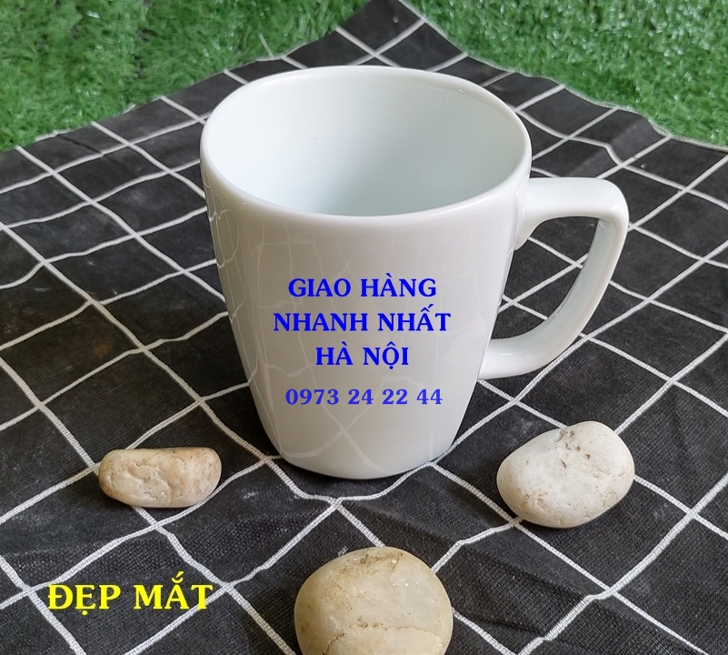 CỐC SỨ TRẮNG LY SỨ LY NƯỚC