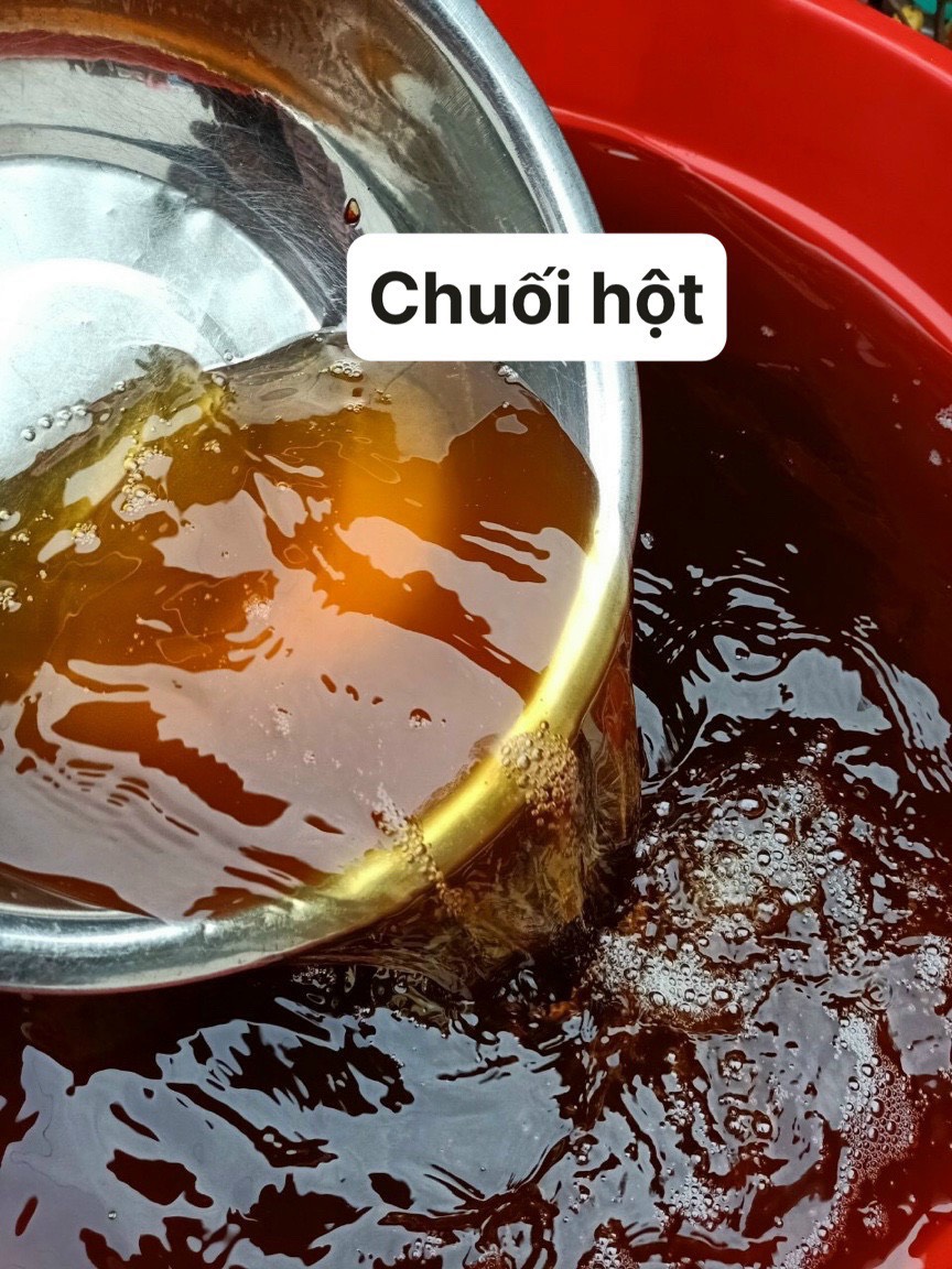 Rượu chuối hột rừng uống bao êm, không đau đầu khát nước chai 1 lít