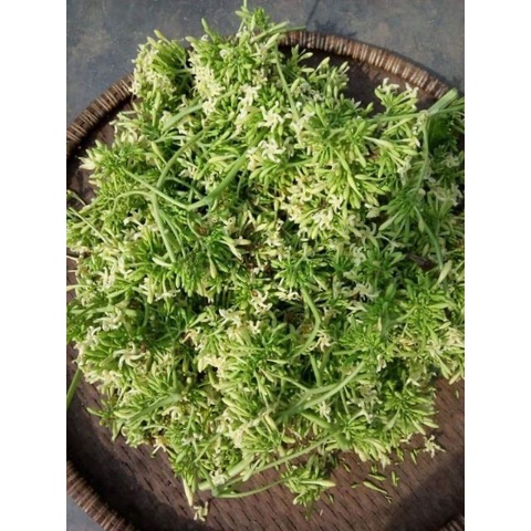 [Nhập RS0822 giảm 30k cho đơn 99k]?????? Hoa đu đủ đực khô thượng hạng (200 gram 500 gram 1kg)??????