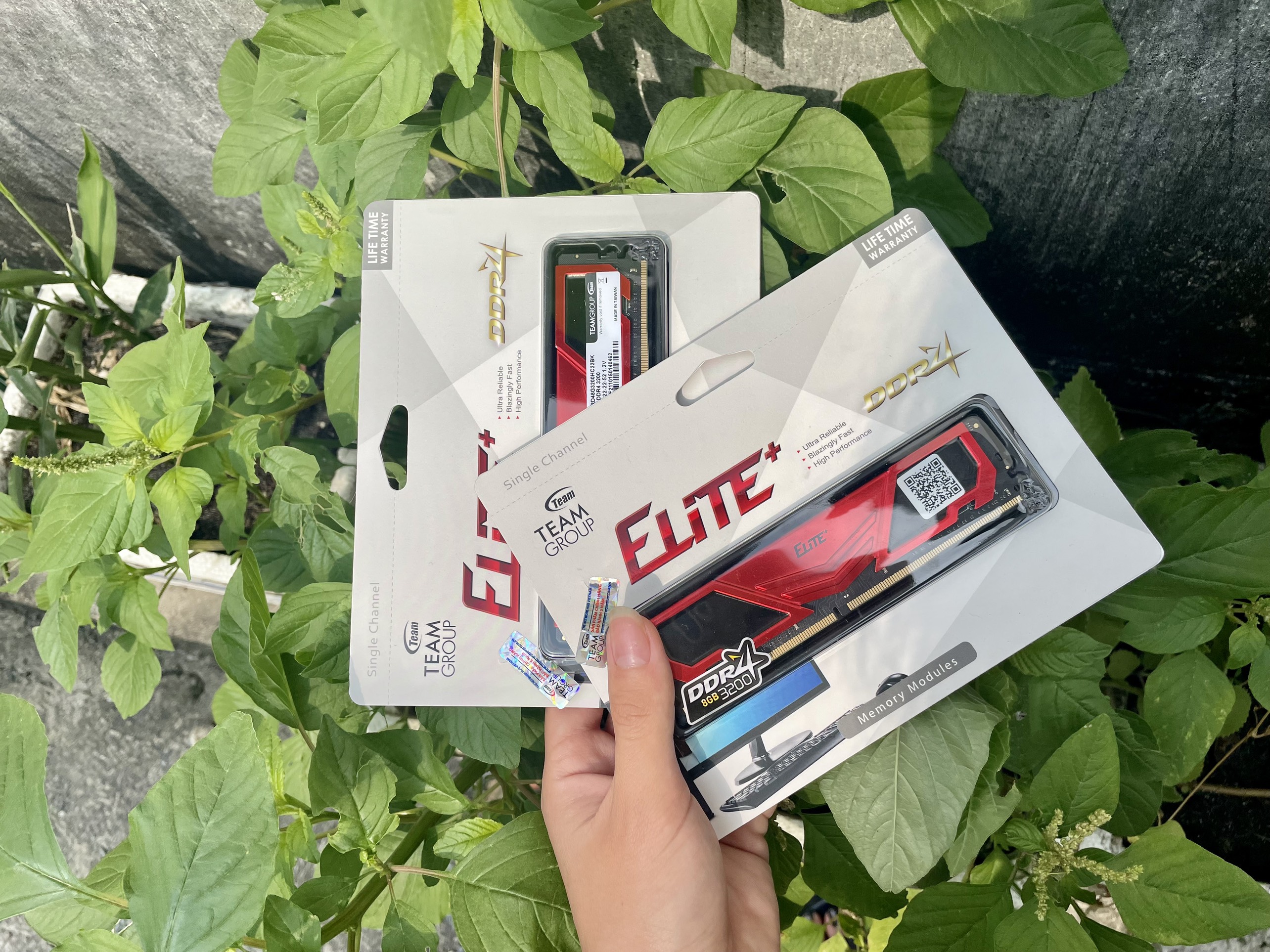 Ram DDR4 Team 8G/3200 Elite Plus