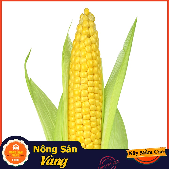 Hạt giống Bắp Mỹ (Ngô Mỹ) ( Gói 10 Gram ) - Nông Sản Vàng