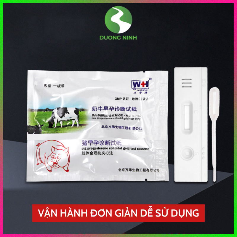 Que thử thai cho heo chính xác 95%