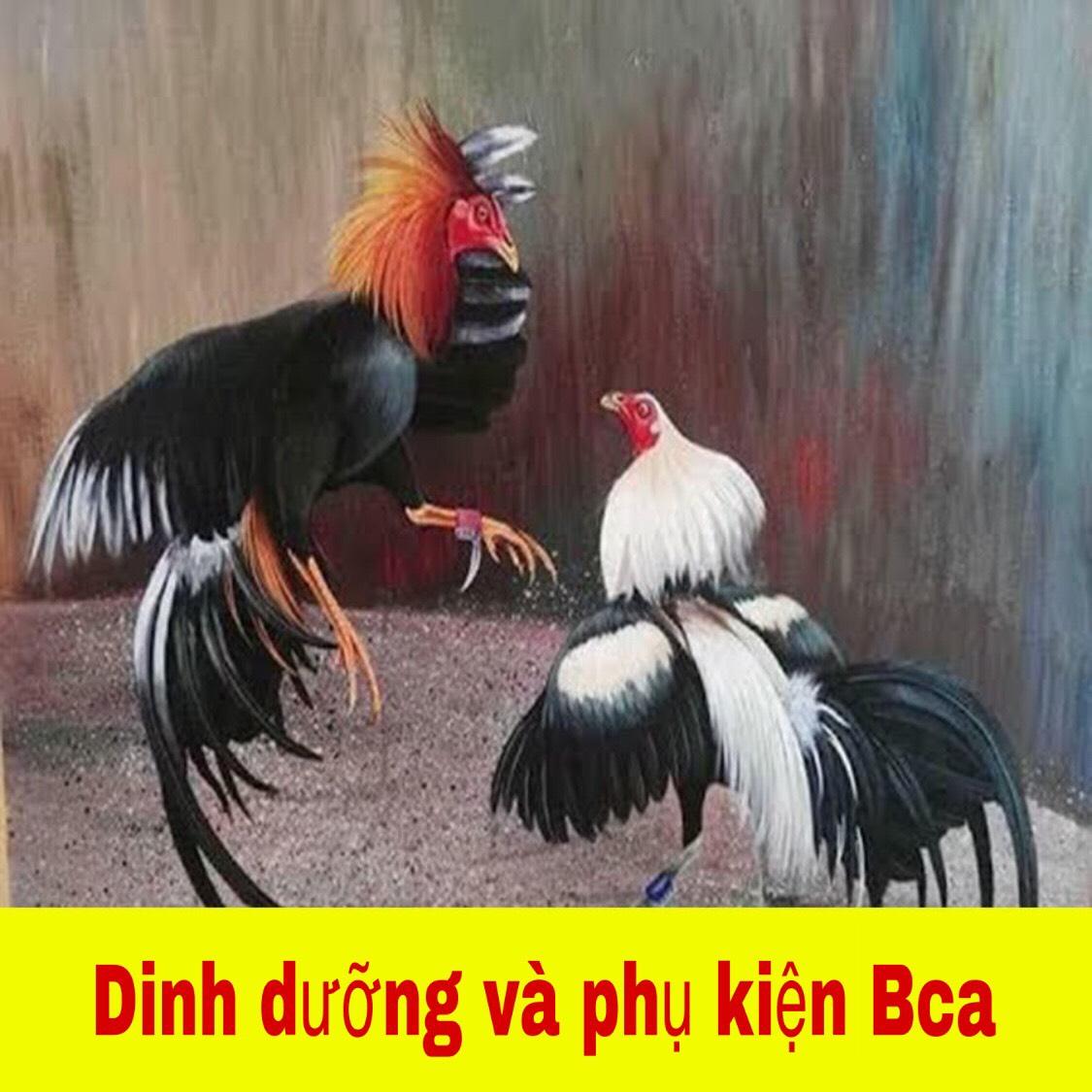 Thunderbird thức ăn gà trên 4 tháng - 1kg