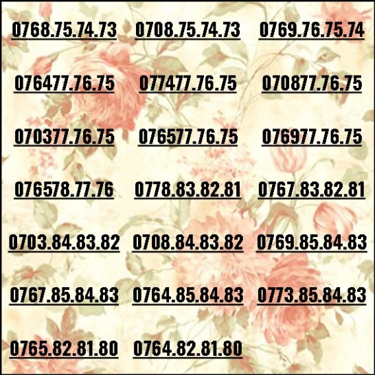 [HCM]Sim đẹp mobifone 3 số tiến dễ nhớ