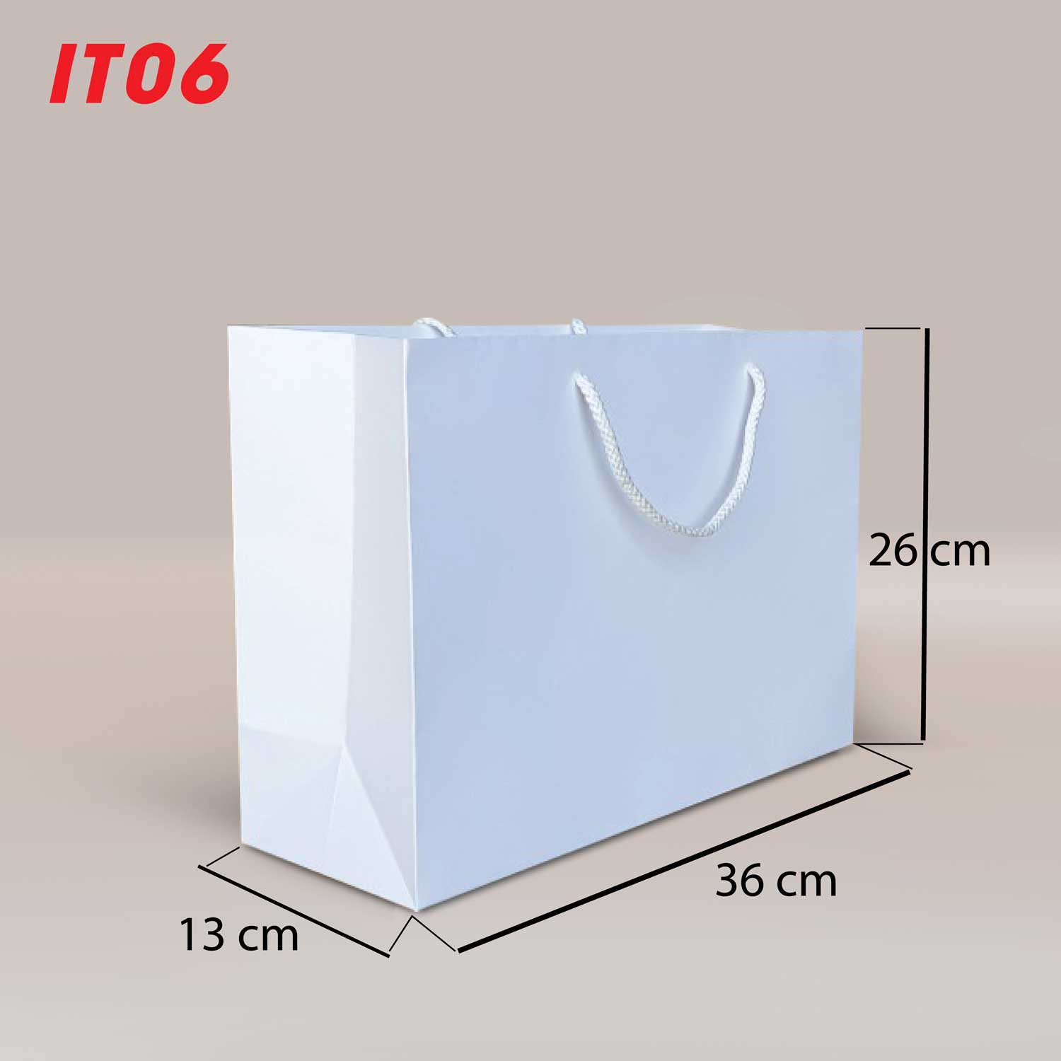 Combo 10 Túi Giấy Trắng trơn IT06 loại lớn ( 26x 36x 13)