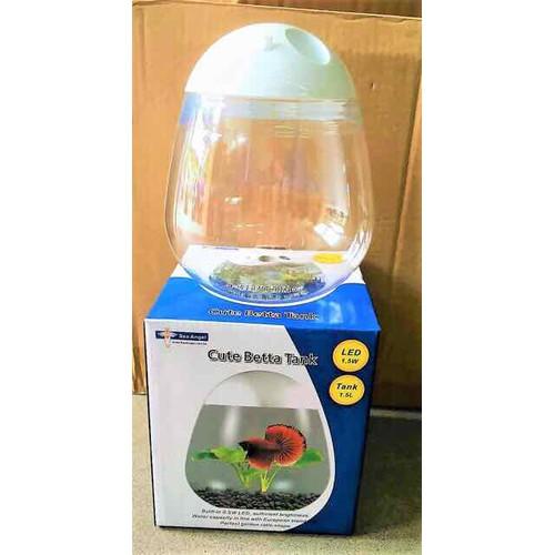Hồ Cá Betta Mini Cute Betta Tank hình quả trứng