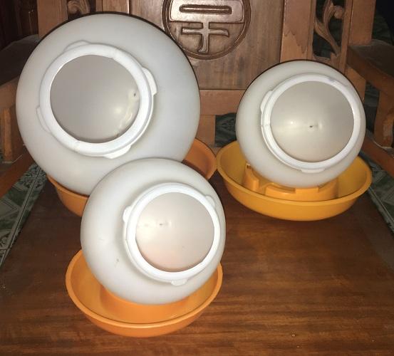 Máng Uống Cho Gà Vịt 2, 4, 8 Lít
