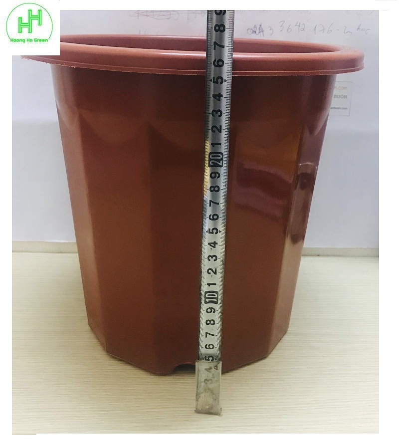 10 chậu nhựa trồng hoa, cây cảnh e330 nhựa bình thuận