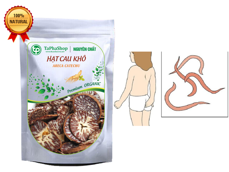 Hạt cau khô 1kg - Thảo Dược Tấn Phát