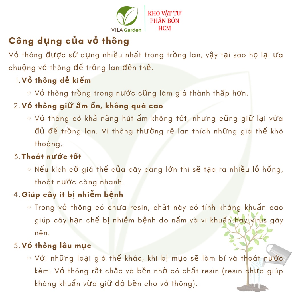 Vỏ Thông Xay Bo size 3-4cm (Túi 1kg)