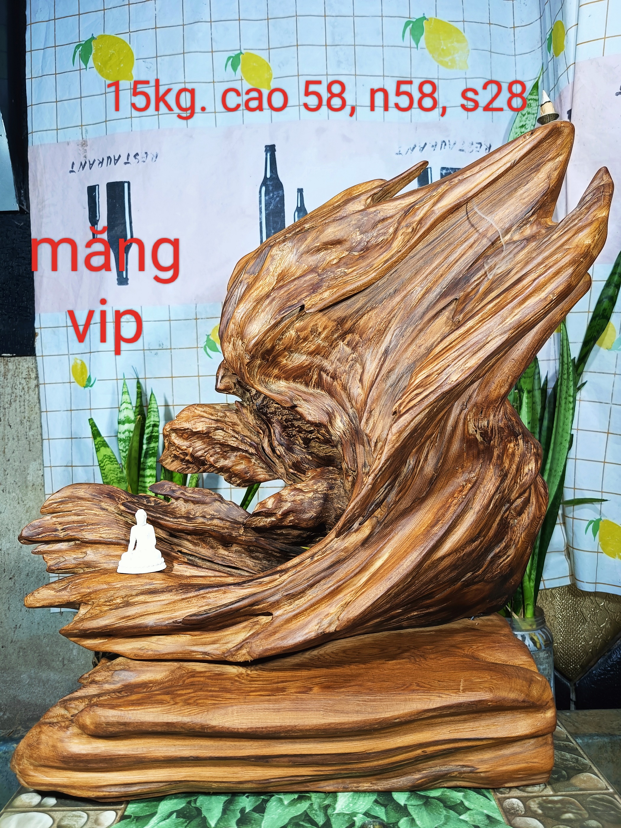 lũa gỗ thơm ngọc am đỏ hà giang. măng gỗ độc đáo