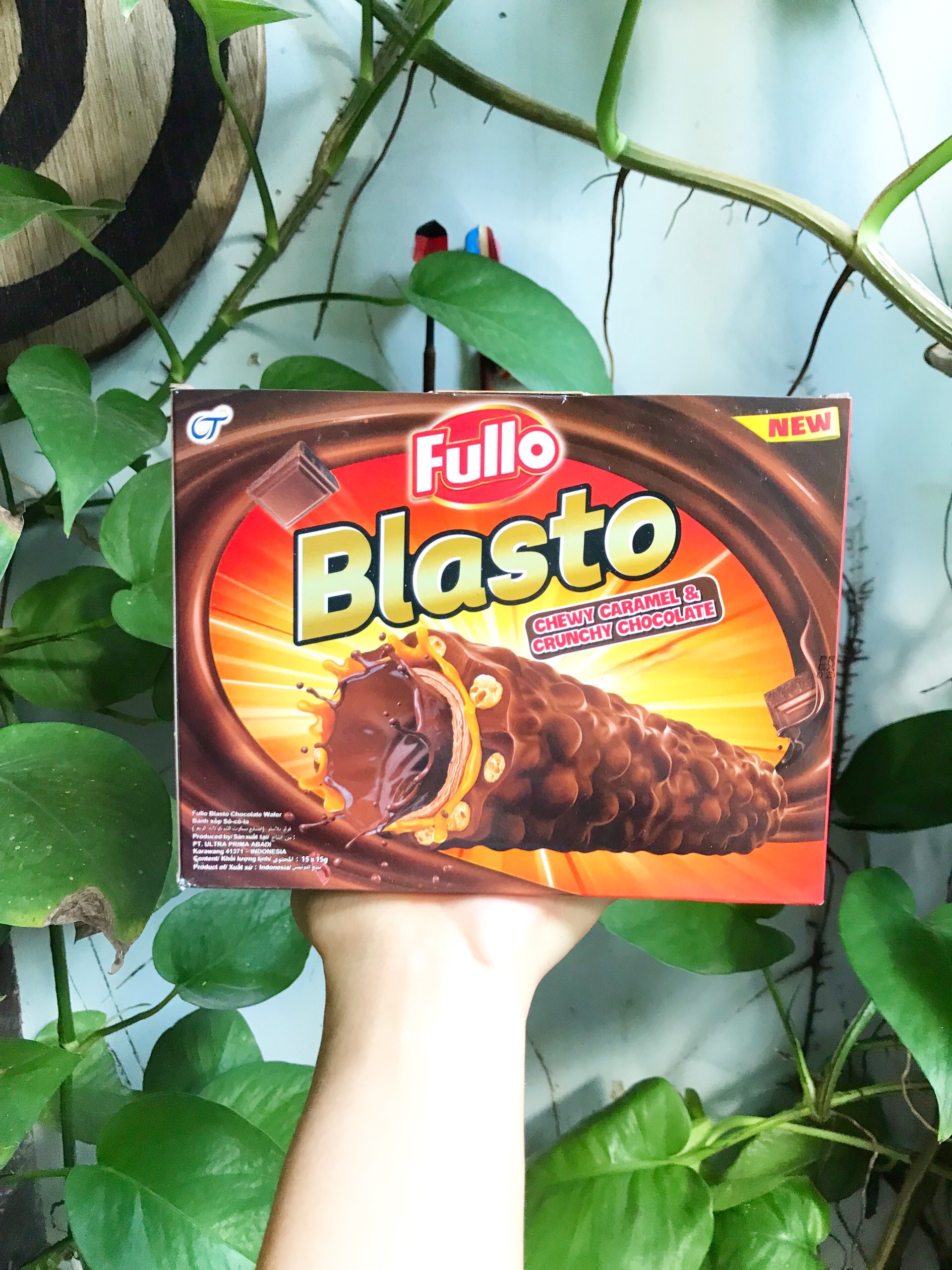 Bánh Xốp Sôcôla Fullo Blasto (Hộp 15 cái)