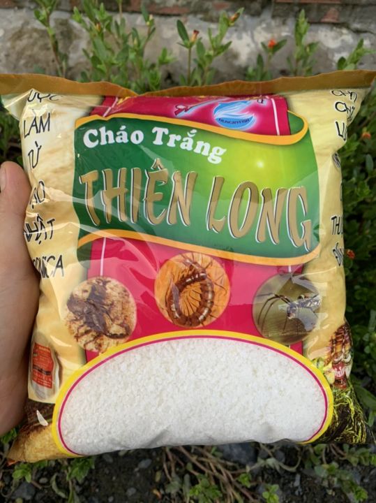 - cháo trắng câu cá thiên long 250gram