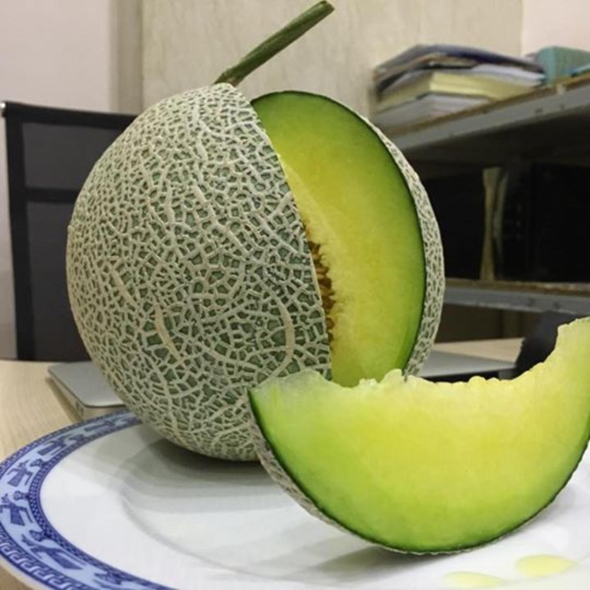 10 Hạt giống Dưa lưới tròn (lõi xanh) (tặng Kích nẩy mầm, Hướng dẫn ươm)