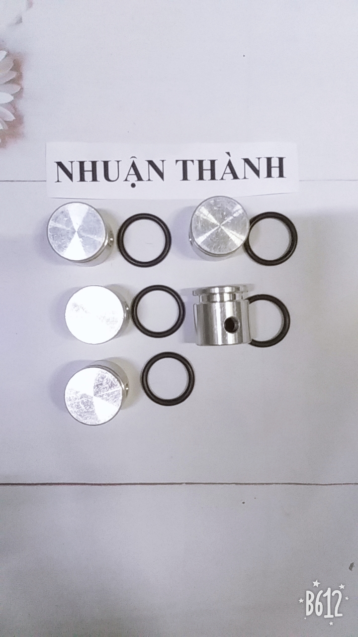 Piston lỏng Máy đục 0810 kèm sin