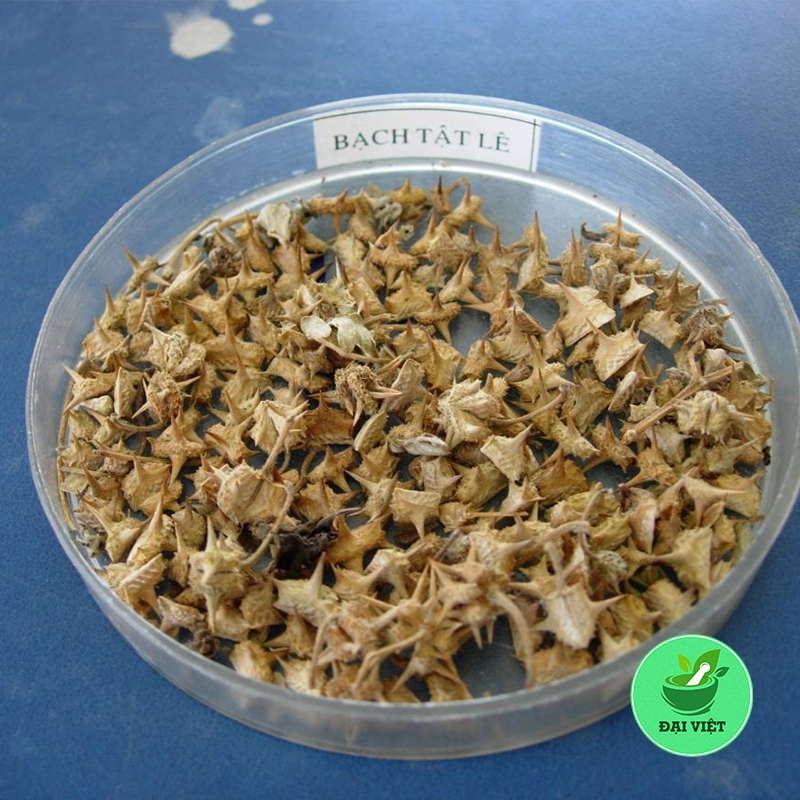 Bạch tật lê (gói 1kg) - DV193