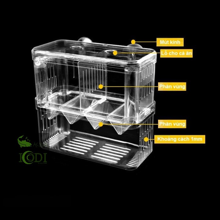 Lồng Đẻ Cho Cá Thủy Sinh