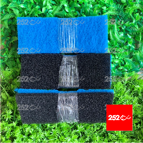 BÔNG LỌC 2 LỚP XANH ĐEN