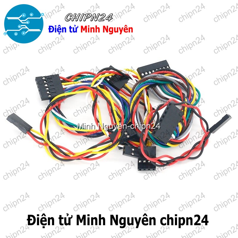 [2 sợi] (D119) Dây bẹ màu 2.54mm 2p 20cm