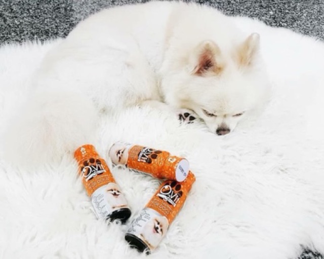 Siro kích thích thèm ăn, Bổ Sung Vitamin & Omega3 cho cún 🐶