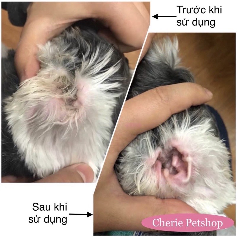 [HCM]BỘT NHỔ LÔNG TAI CHO CHÓ PETIS 5GR
