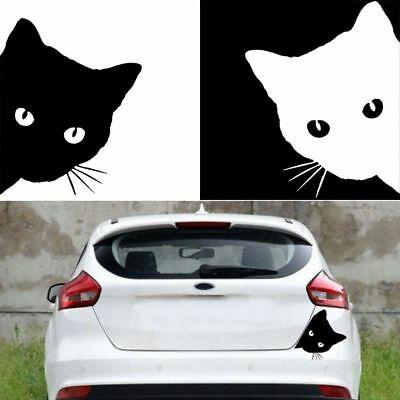 Decal hình mèo ĐEN