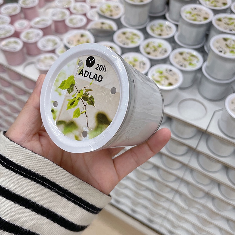 [HCM] NẾN THƠM IKEA CHÍNH HÃNG – ADLAD