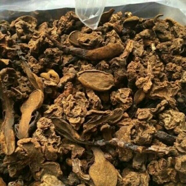 combo 2kg nấm ngọc cẩu khô