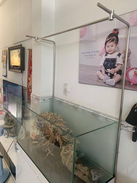 Giá treo đèn đôi inox 304 giá rẻ bình dân cho bể cá, bể thuỷ sinh