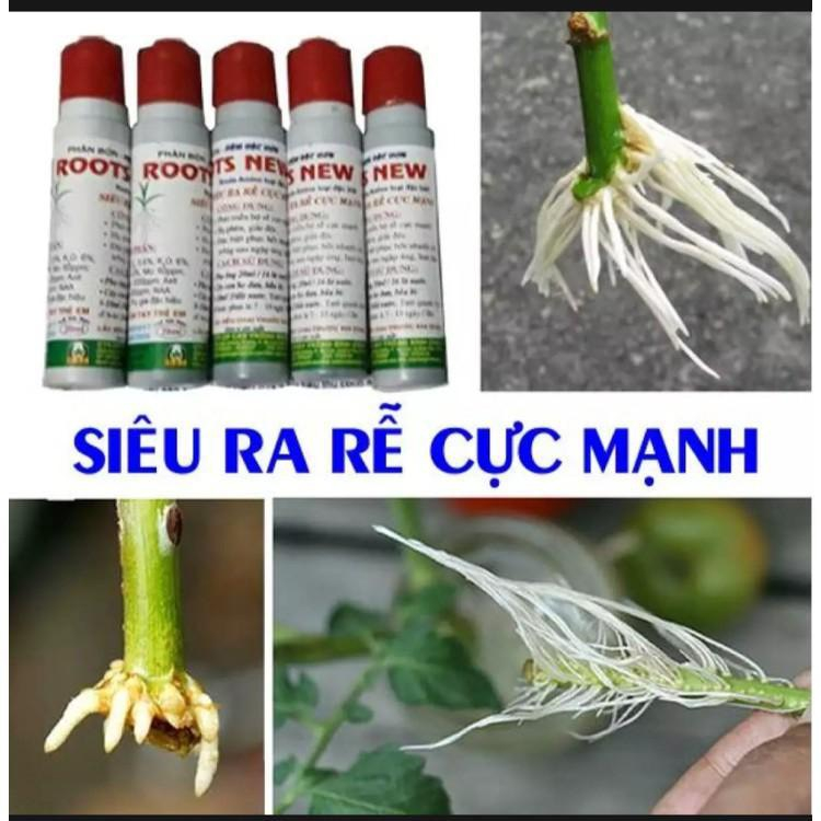 Roots new siêu ra rễ cực mạnh