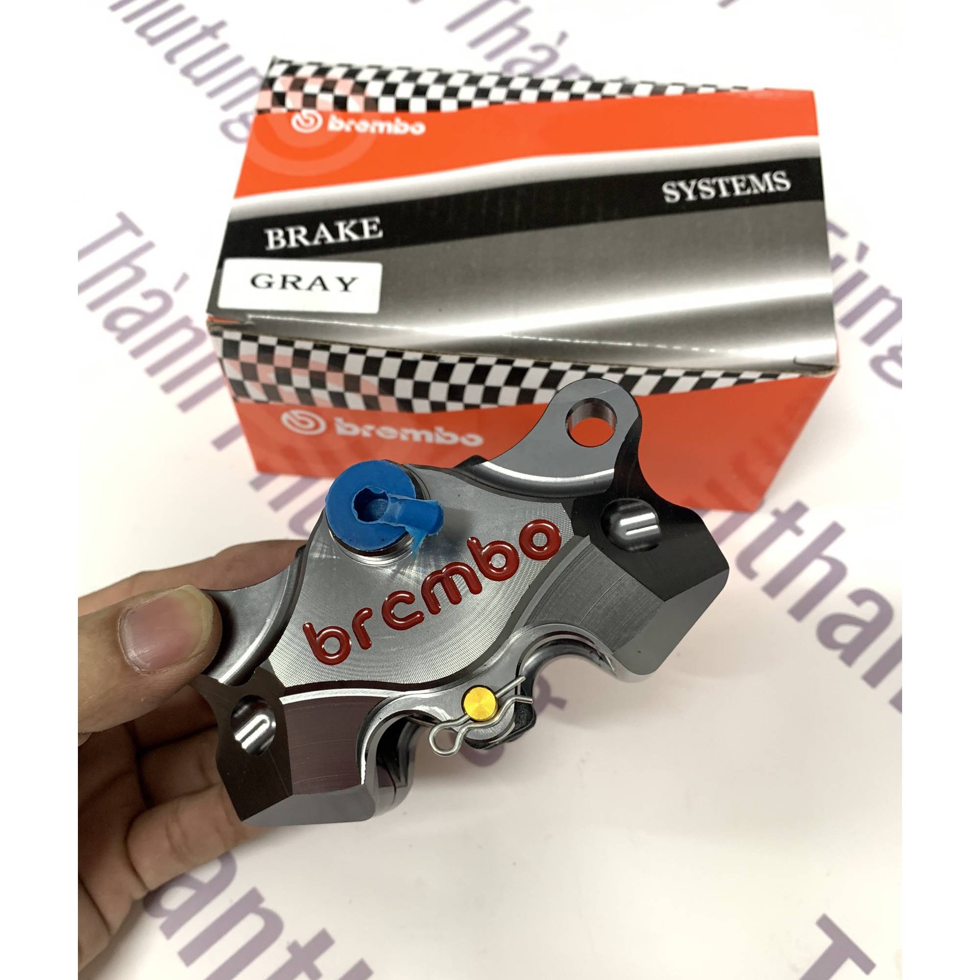 HEO DẦU BREMBO 2PIT MÀU XÁM (GRAY)