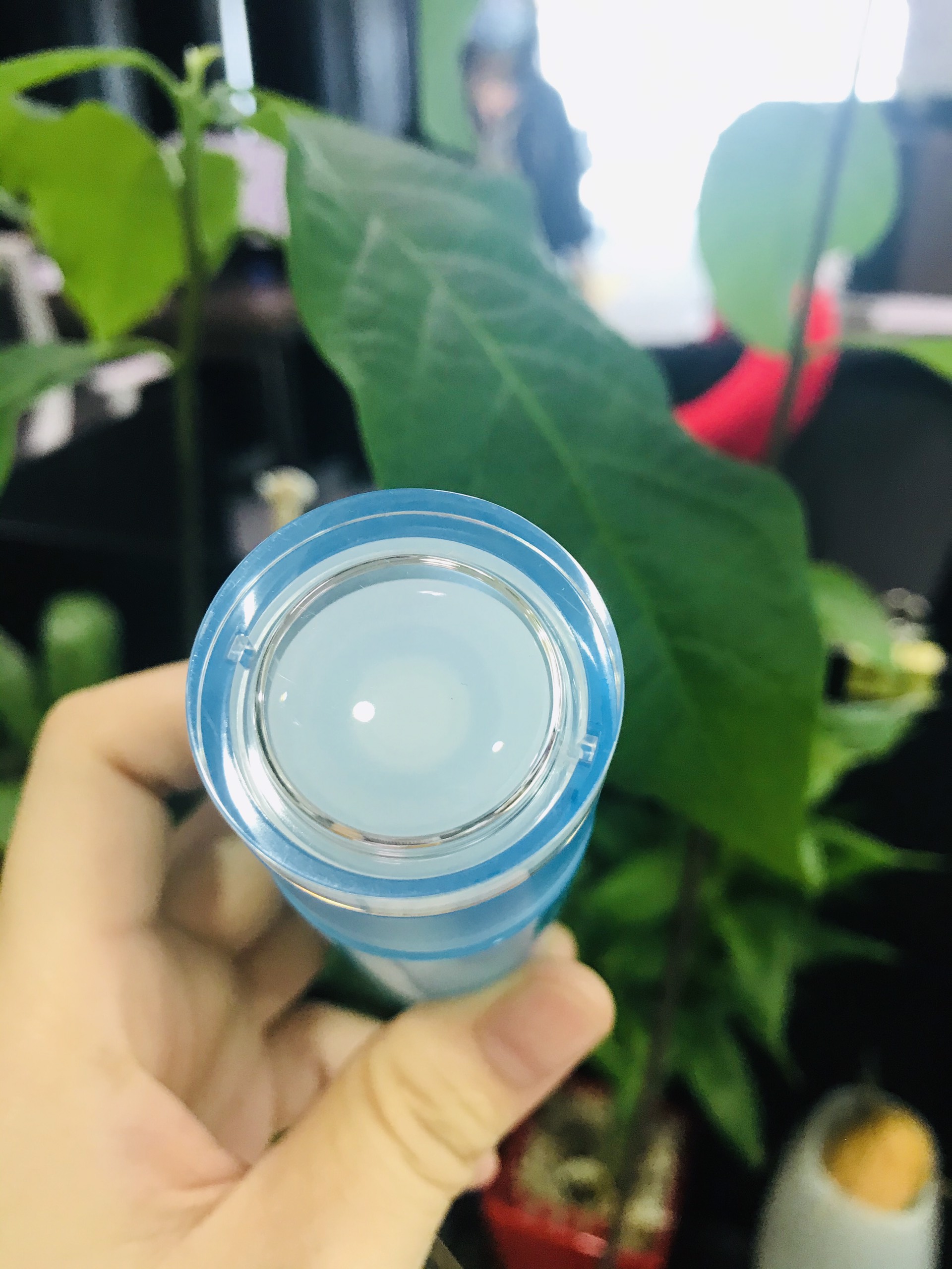 Nước hoa hồng Laneige cấp ẩm Essence Power Light 50ml