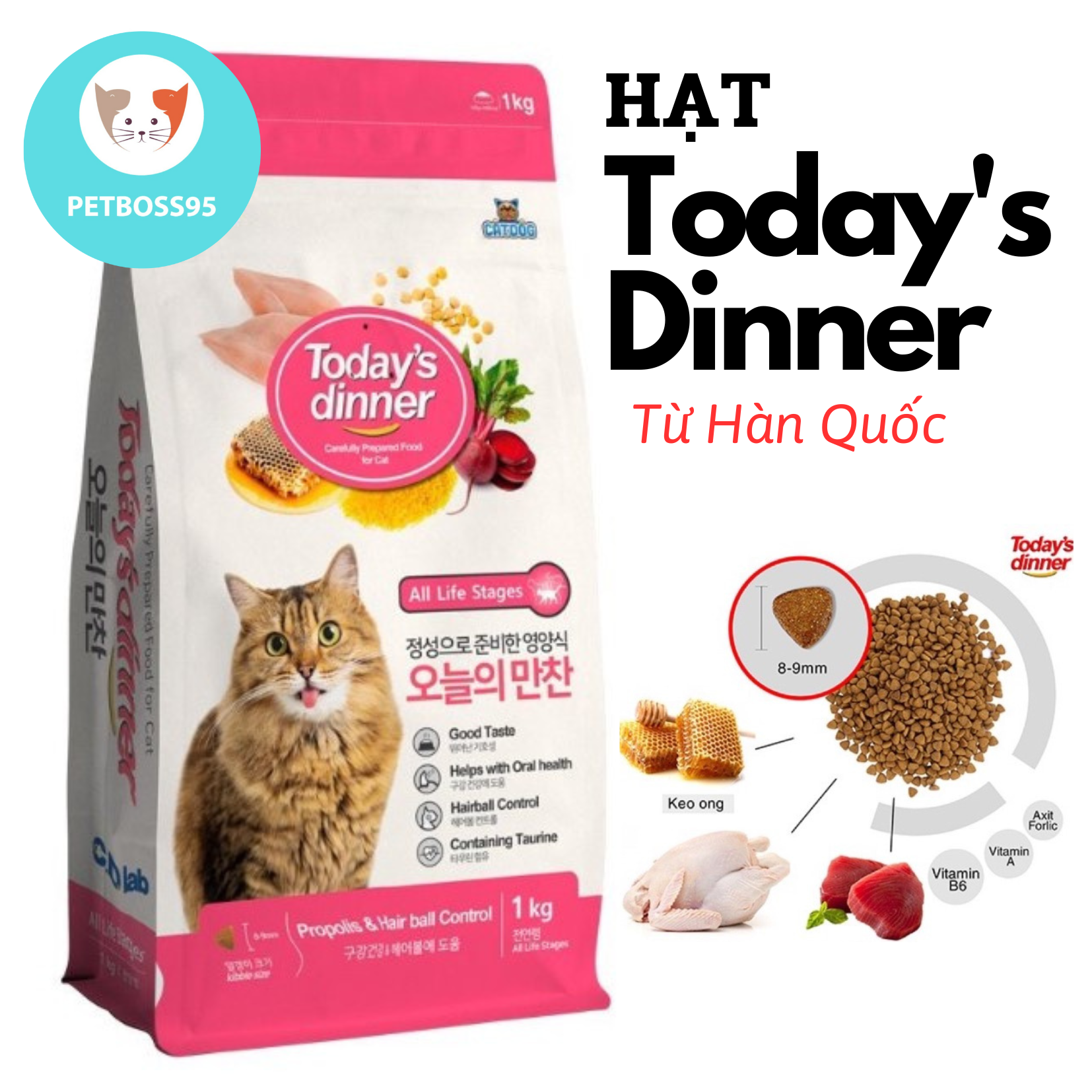Thức ăn hạt today's dinner cho mèo mọi lứa tuổi
